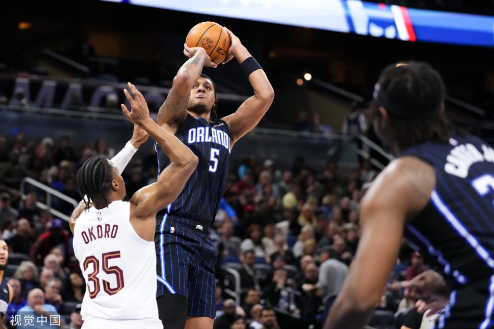 并不多见 并不多见